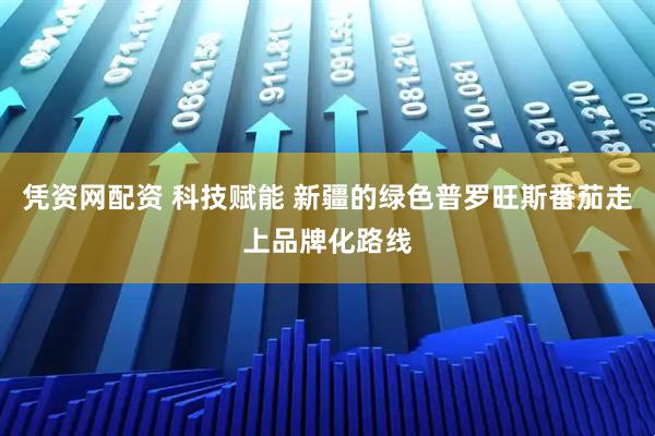 凭资网配资 科技赋能 新疆的绿色普罗旺斯番茄走上品牌化路线